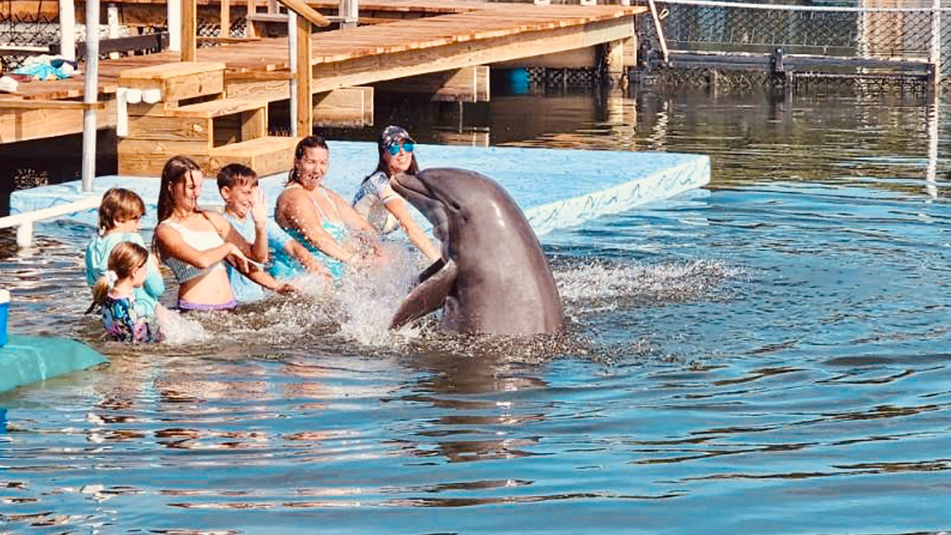 Family interacting with a dolphin in the water at the Dolphin Research Center, Marathon, Florida, during a luxury vacation stay.